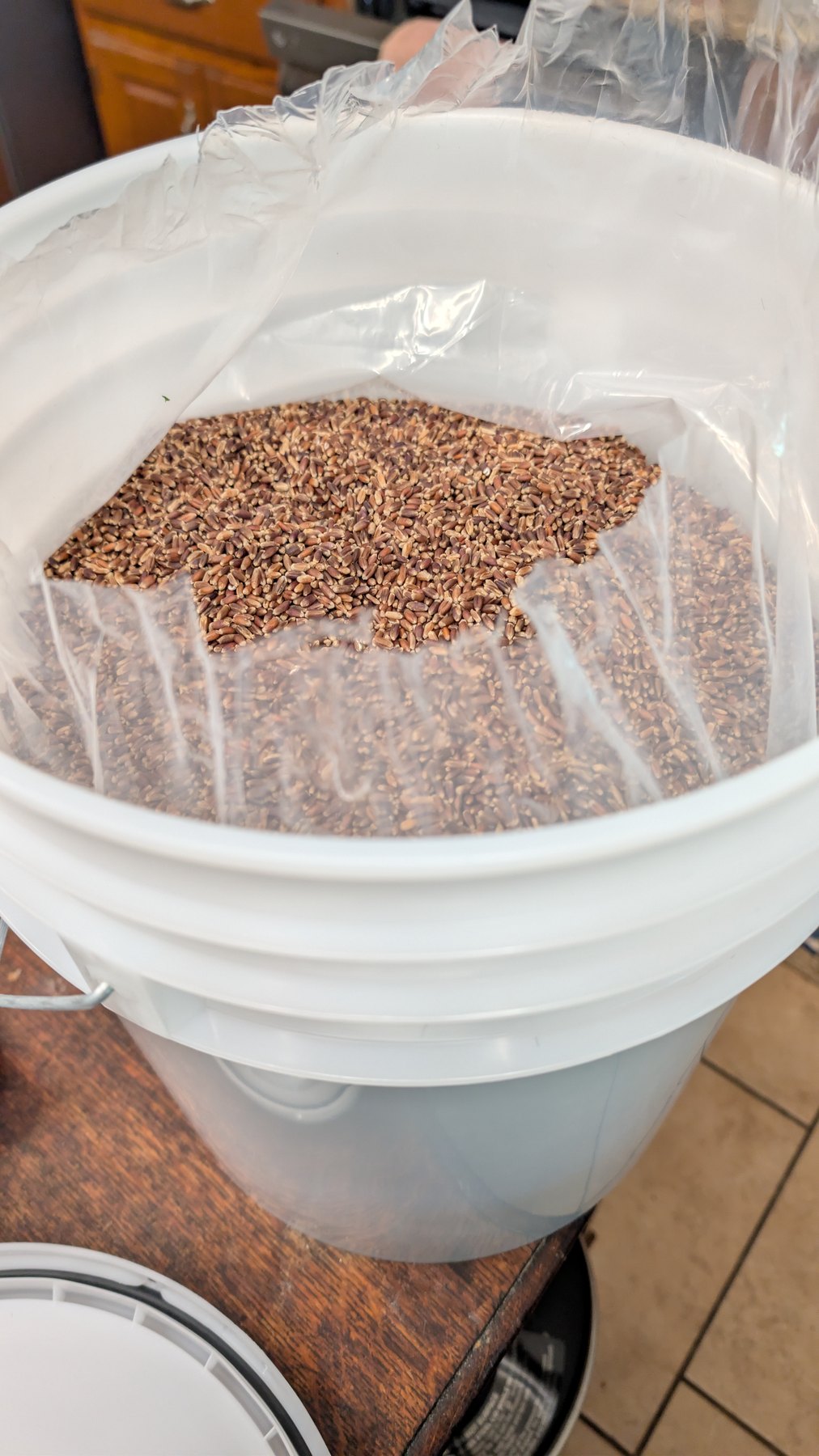 Heartwell Purple Wheat Berries stored in a lined bucket